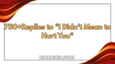I Didn’t Mean to Hurt You