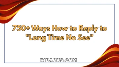 Long Time No See