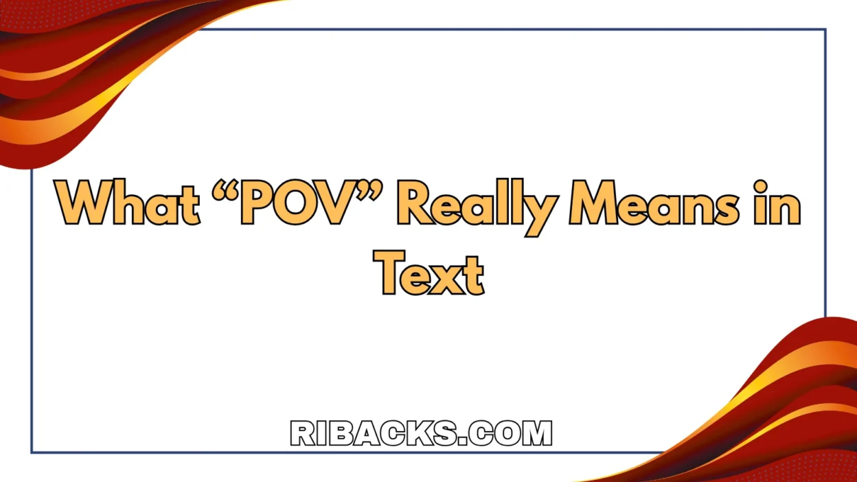 POV Meaning