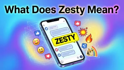 what does zesty mean