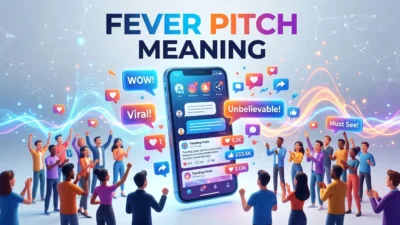 fever pitch meaning